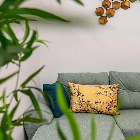 Schei Gate Apartment Brasov