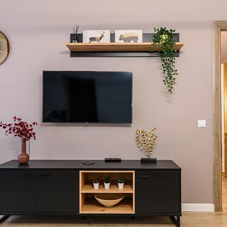 Schei Gate Apartment Brasov