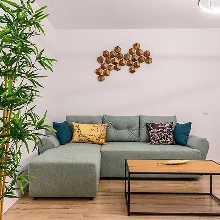 Apartment Schei Gate Brasov
